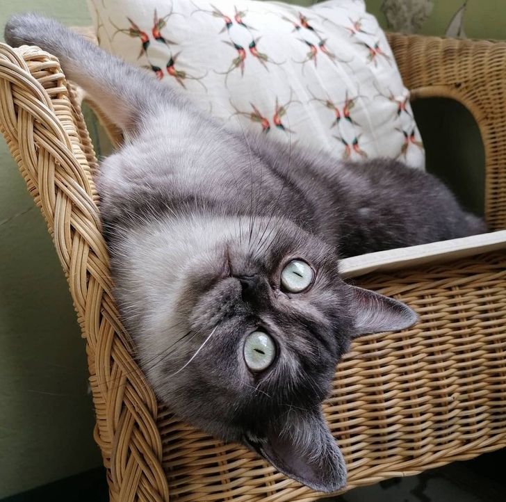 ad7624598ebc3931d97dba75a7