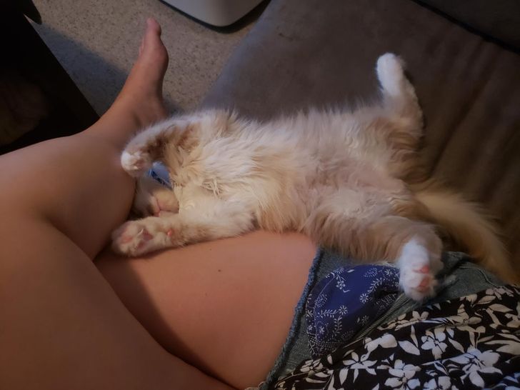 ad7a2b530ca25b4d4865eb3579