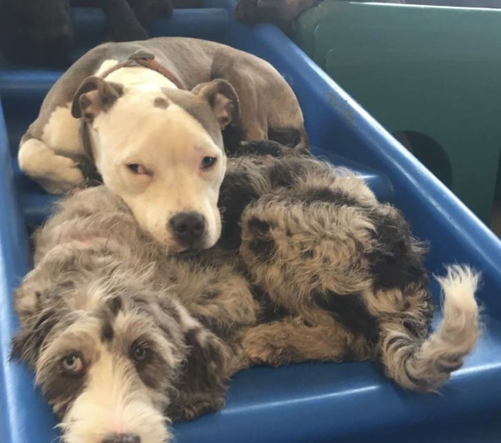 ad7a5651ac82157bd4e05c10b3