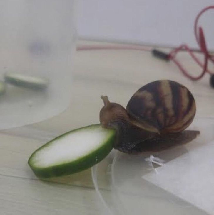 ad805f5a0d860b75dc5936eb66