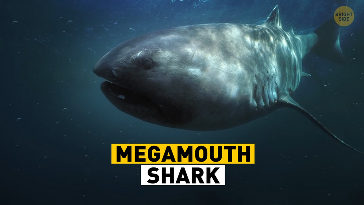 ad882d50b795ac15f6663c0721