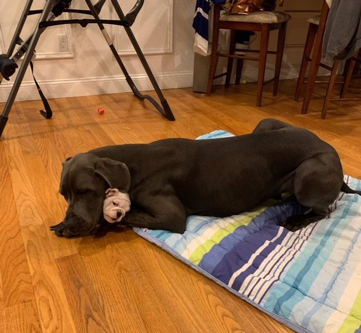 ad8f7e5490945a84ae019c939b