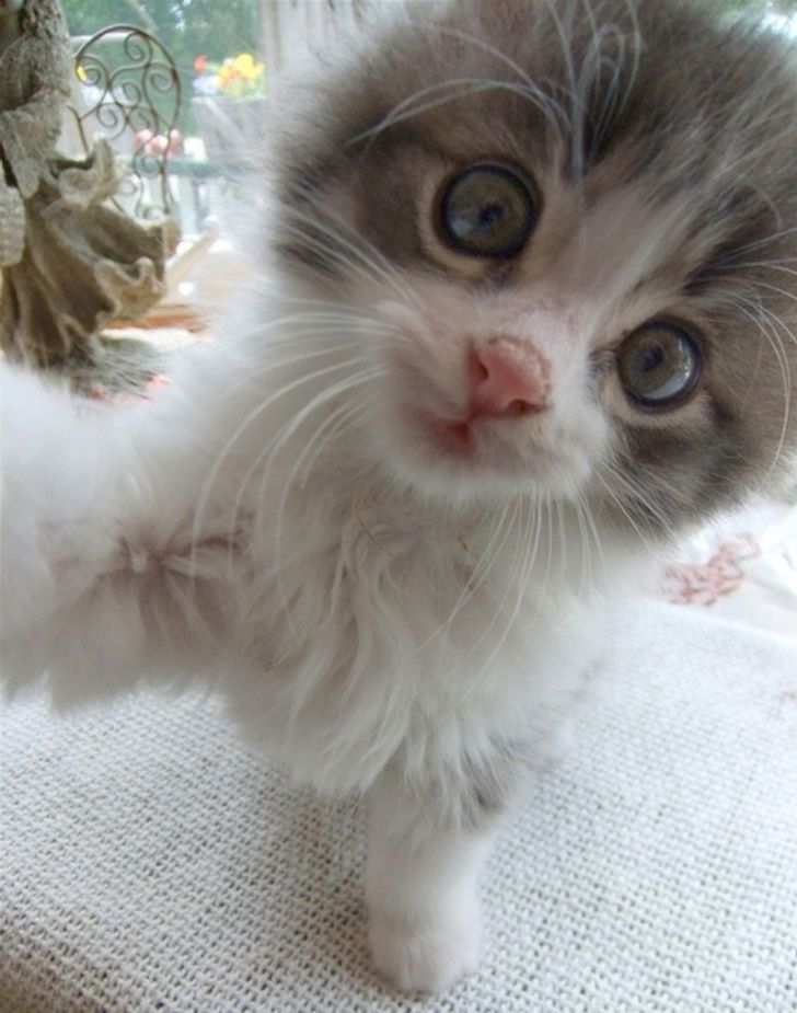 ad92955b629ae41b727cec5764