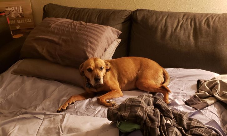 ad951e59129921fdfddd7c08e1 ad951e59129921fdfddd7c08e1