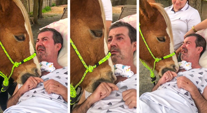 ad96b154edb637cedd9b2ff749