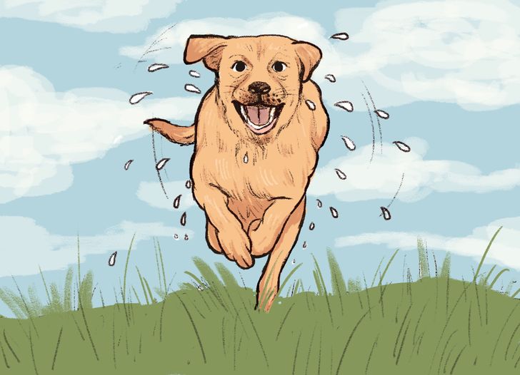 ad9a3a56f38cd73f5652c035ab