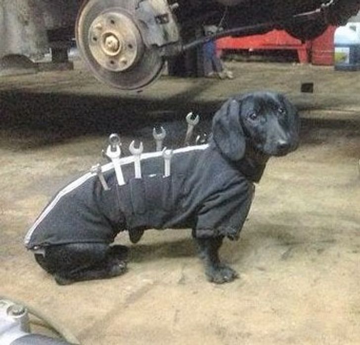 ad9c1951b38f3c1f3fc69c437e