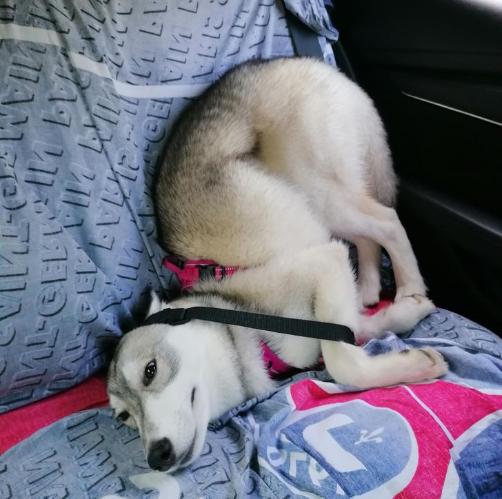 adab625853949d08a06ec95c36