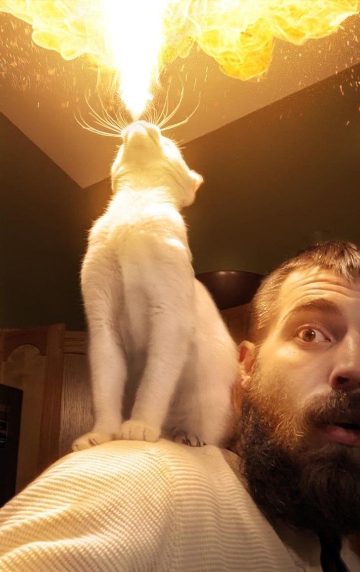 adadbe53eda6c58c033c7d4f61