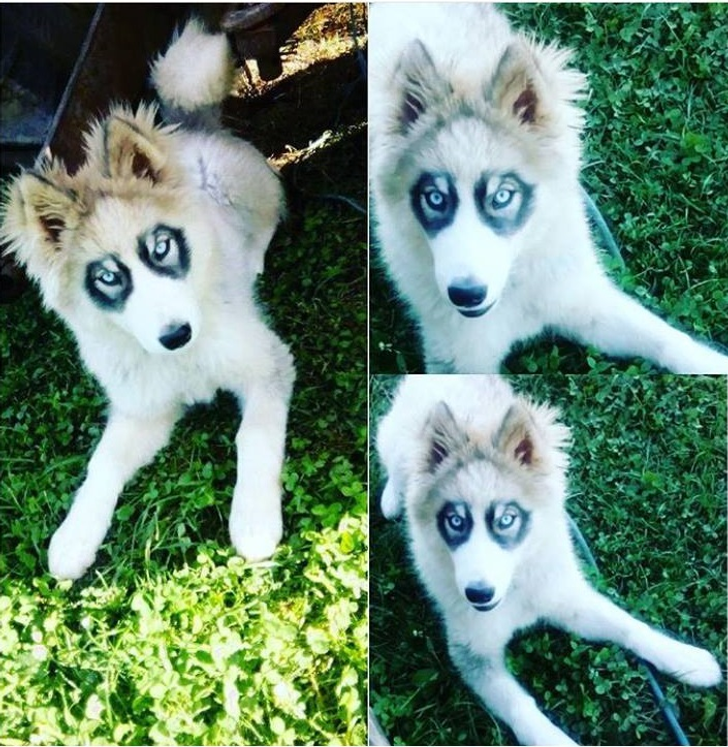 adaeb65c6f9bf9908bbe3097df