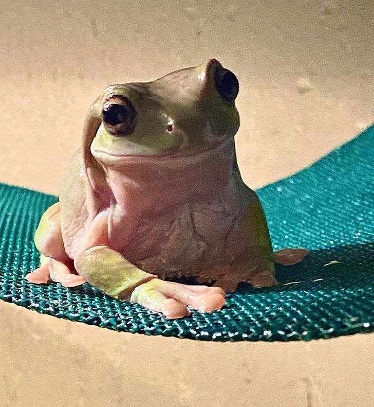 adbad051c2aa709960574d5532