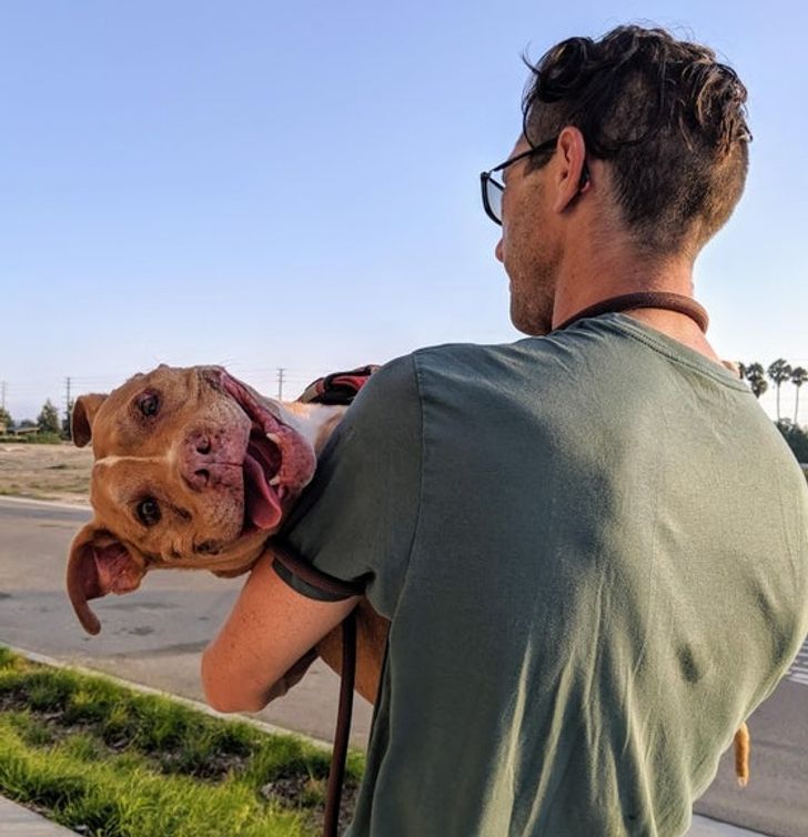 adbf455a5a82a30a72178f0262 adbf455a5a82a30a72178f0262