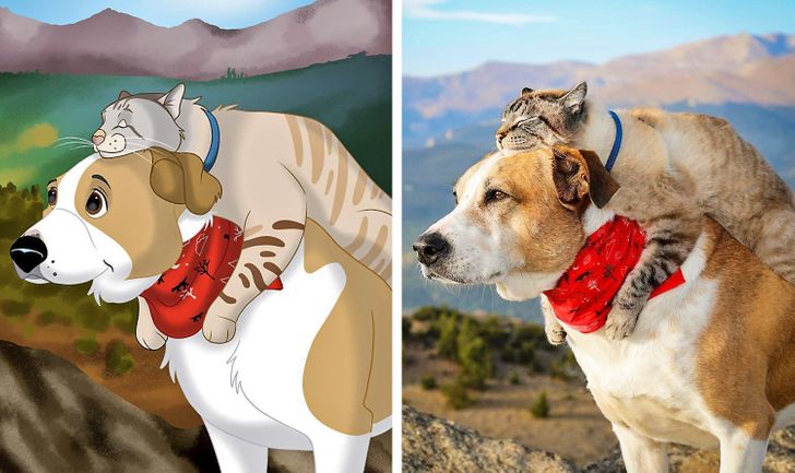 adc8ed5d5aa0e52fcc447897e6