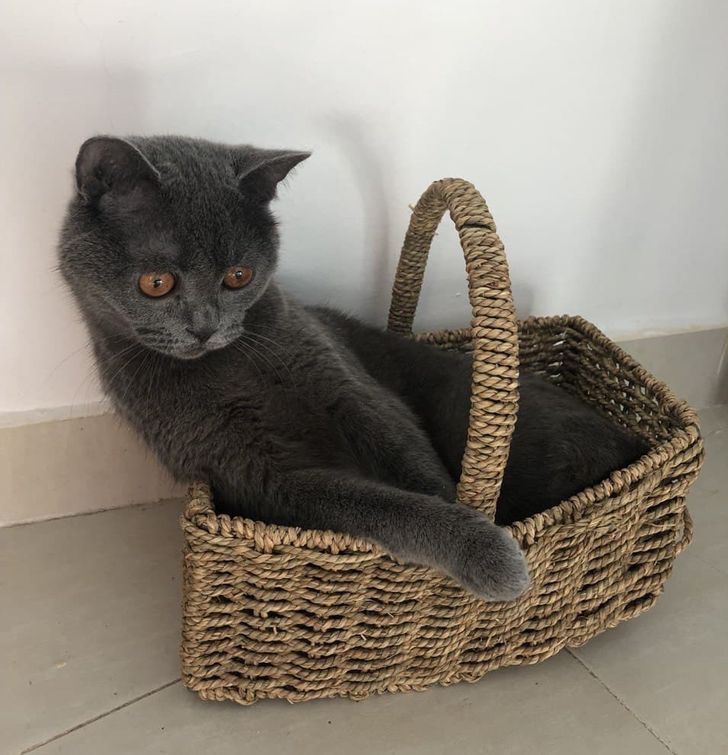 add48e5ab4bcb8214b08c290de add48e5ab4bcb8214b08c290de