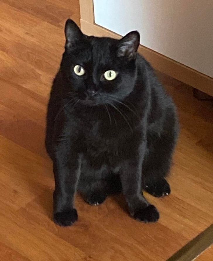 add91e5e5eba4ee7e1b9ed74c5