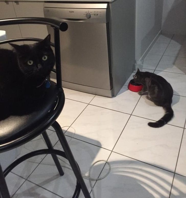 ade5e558d2b3a3b7da0dd71baa