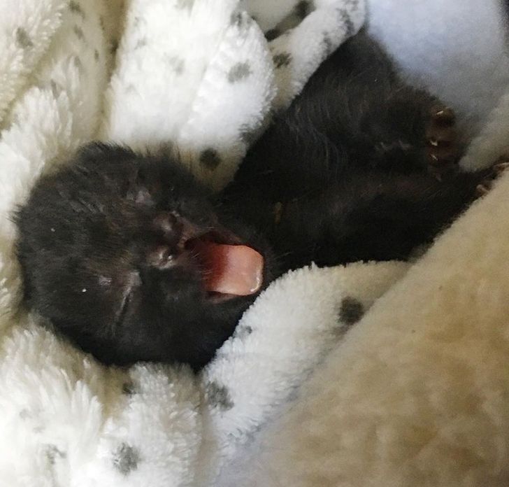 aded015d0bb9b5e51df2b3f340