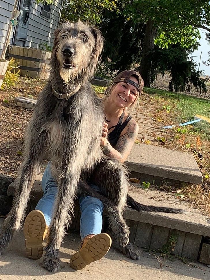 aded0b5794b7db1a8d2baa628b