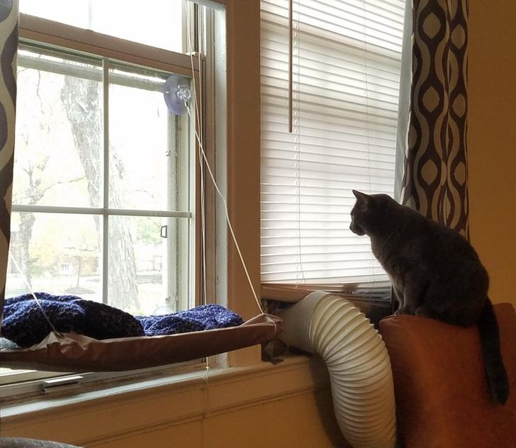 adf128542a9af4e3c26e08fd84