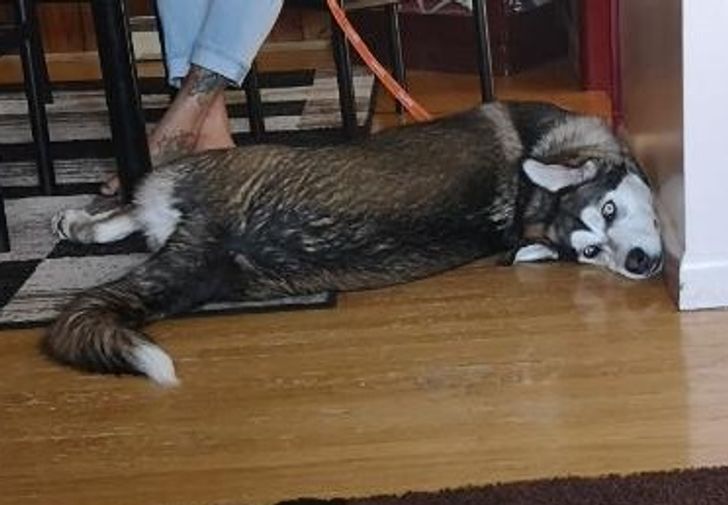 ae0c265d26bb2aa0465da59b0b