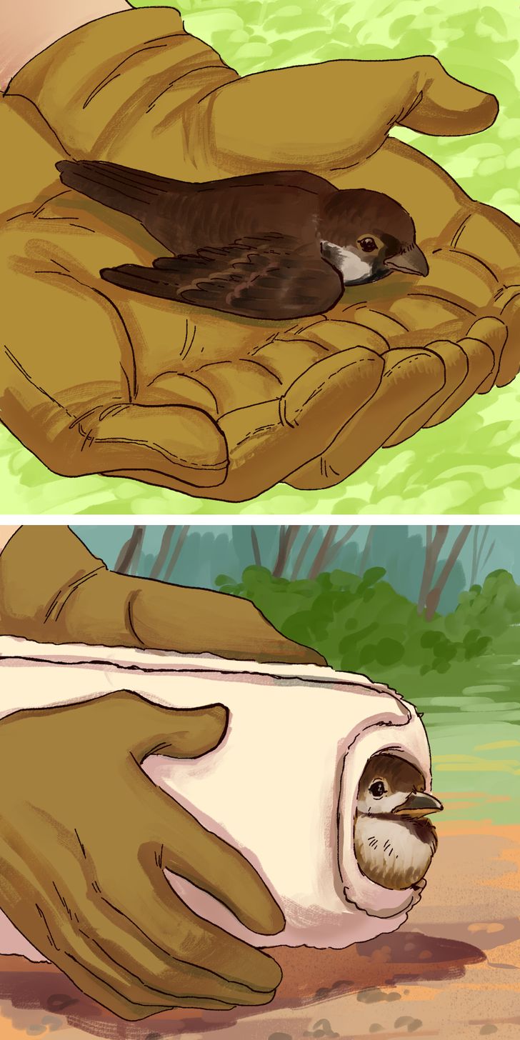 ae0c575814b8a0d81ecba89cb7