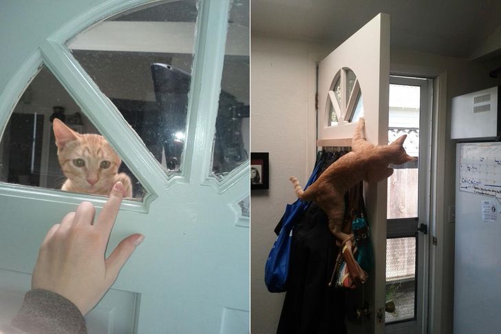 ae11805577bde75218bb5454d8