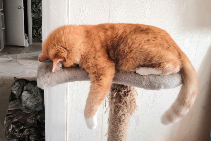 ae122958e1977e005d13b16709