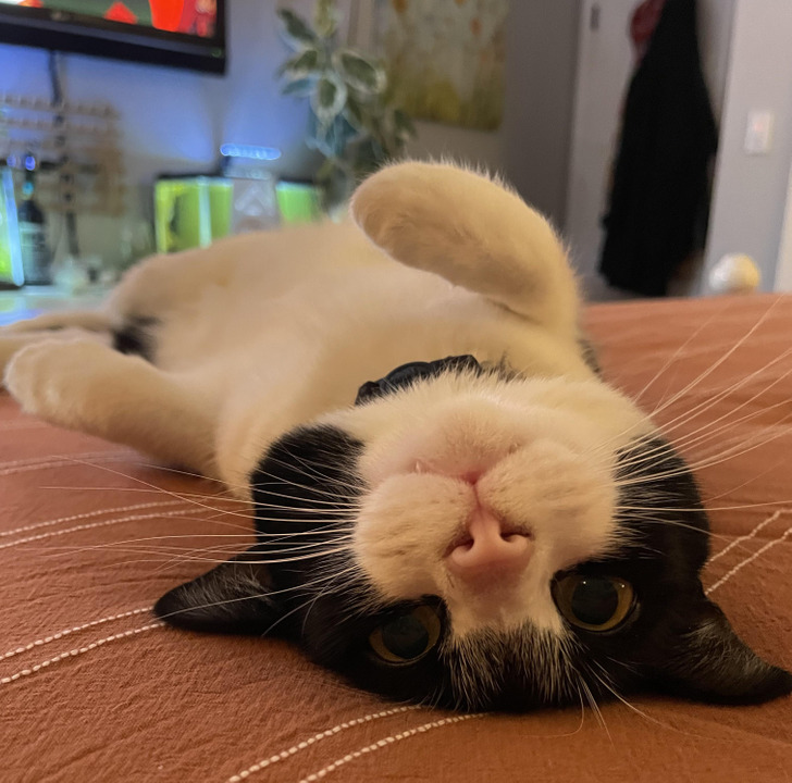 ae1a835dbfb22aee9ca083aeb0