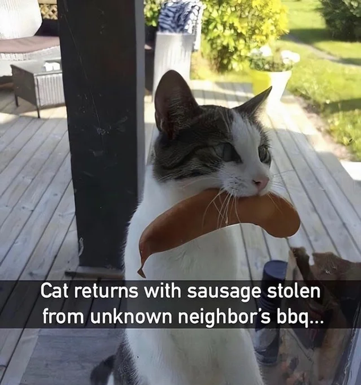 ae1e02568ca59a1bbbc732b2c2