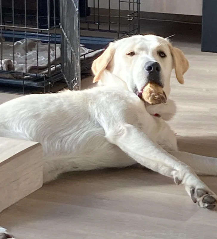 ae215a548ebd8e8f9a16e8a7c7 ae215a548ebd8e8f9a16e8a7c7