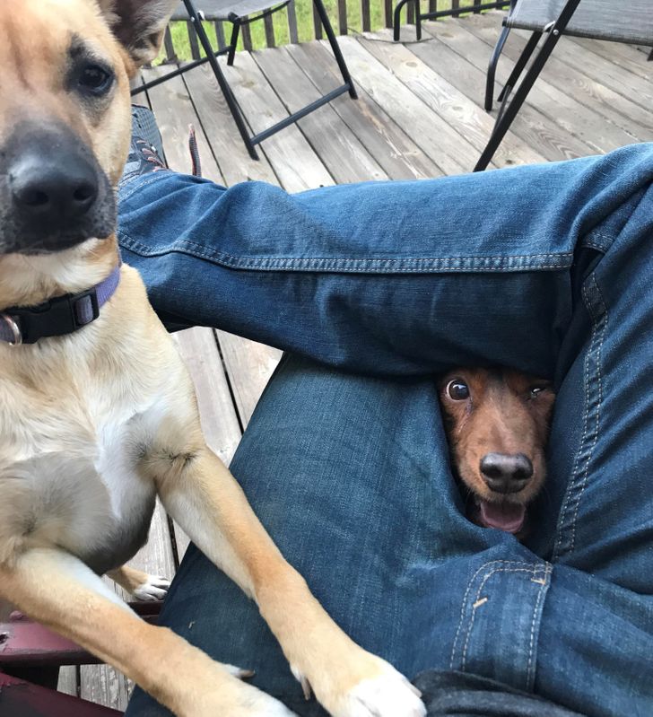 ae266a531fbfc8670f05ec8438-1