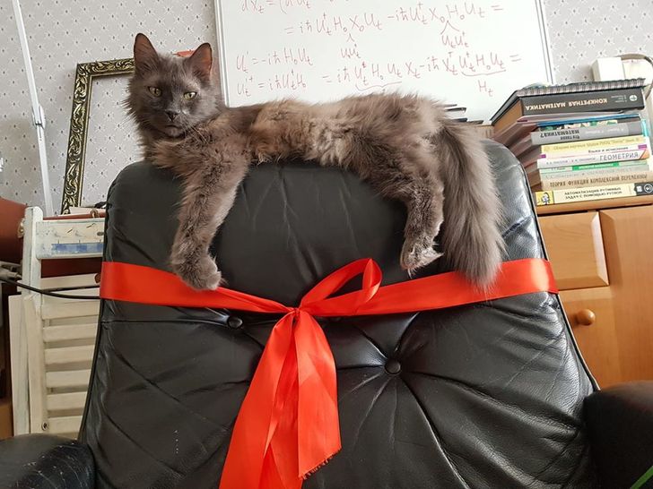 ae26f256b3b5bd7bd9b036c2c8