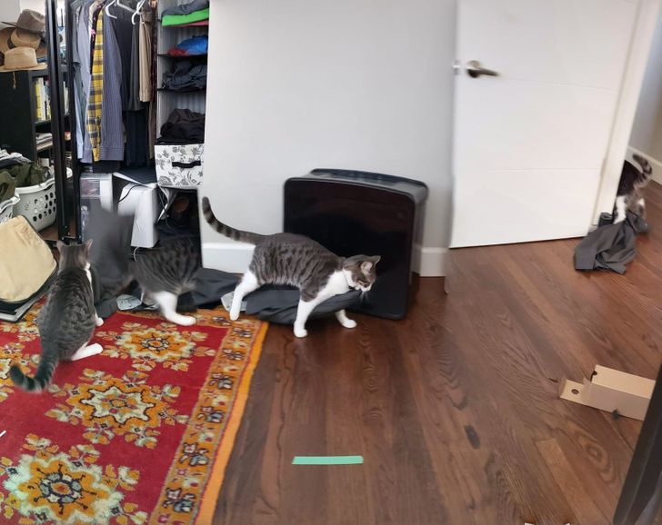 ae2981527b8e6417b3d6390d1c