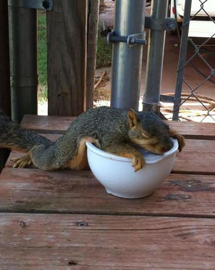 ae2aeb5c5782707544b2b0540f