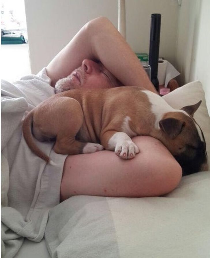 ae33675139ae51f790d4e1fedb