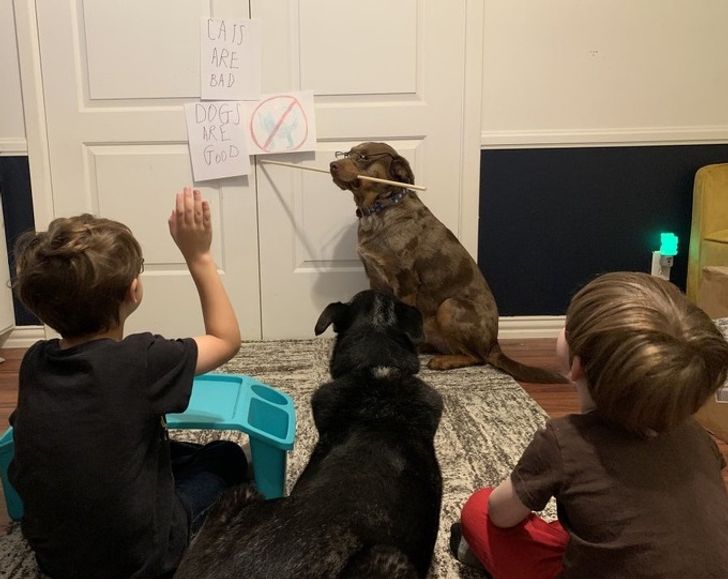 ae36295c81a52f71116c329c14