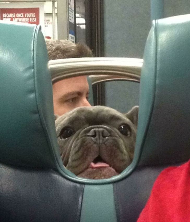 ae403f597a9502f225b528db9d