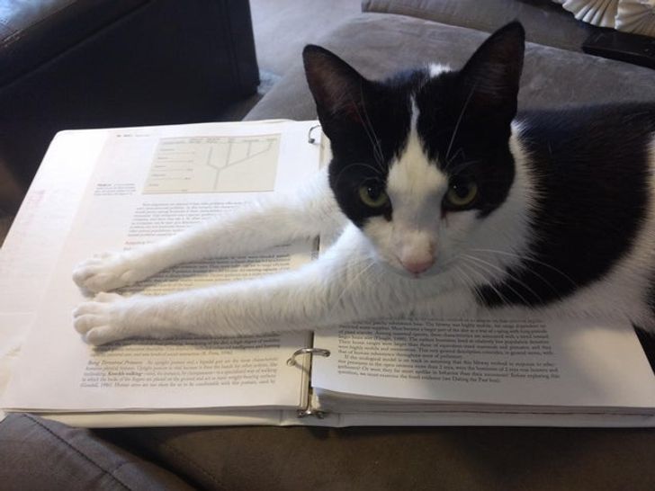 ae451e58c8bc9973891b5d35ac