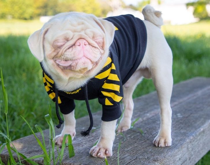 ae46d25effb28b3cd4f8727bae