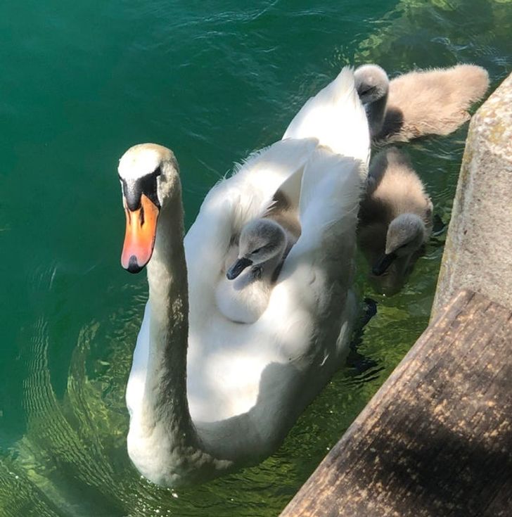 ae48ad5a2baef029ad220767ce