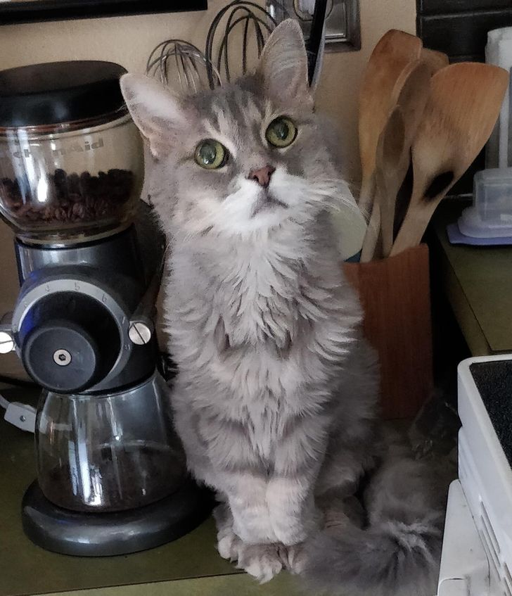 ae52ad56ca838e32dccb986410