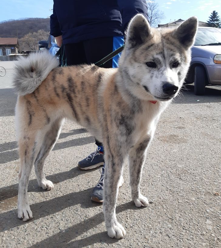 ae52e2531b90d65b44351b993a