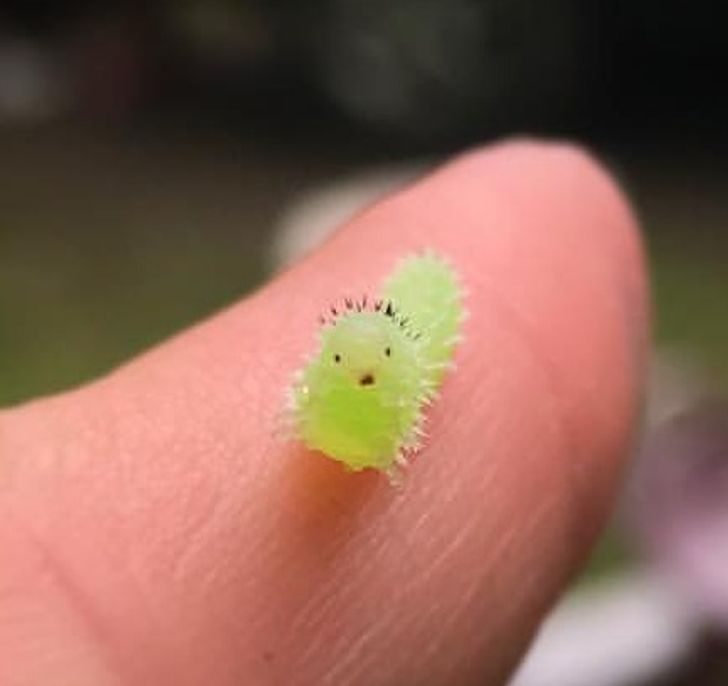 ae555a5a6fbce7504060985356