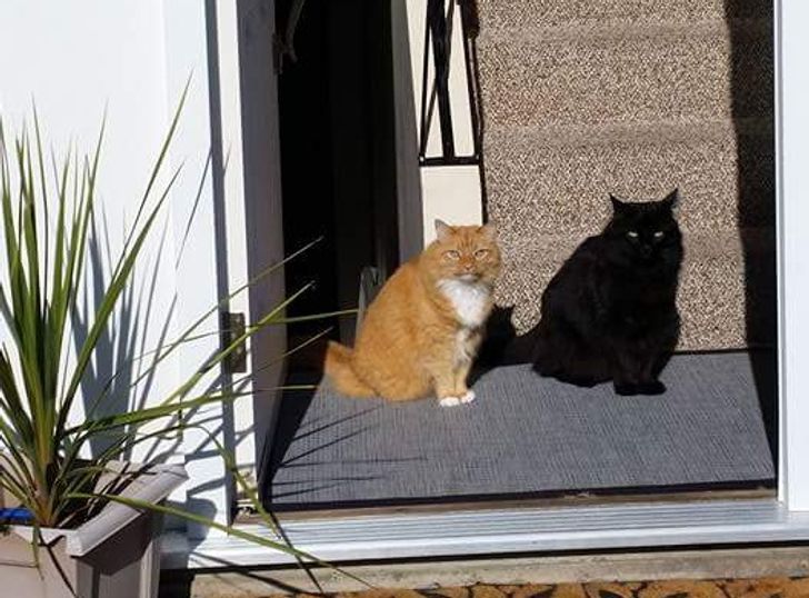 ae55635a4792dc35039ab21a5d