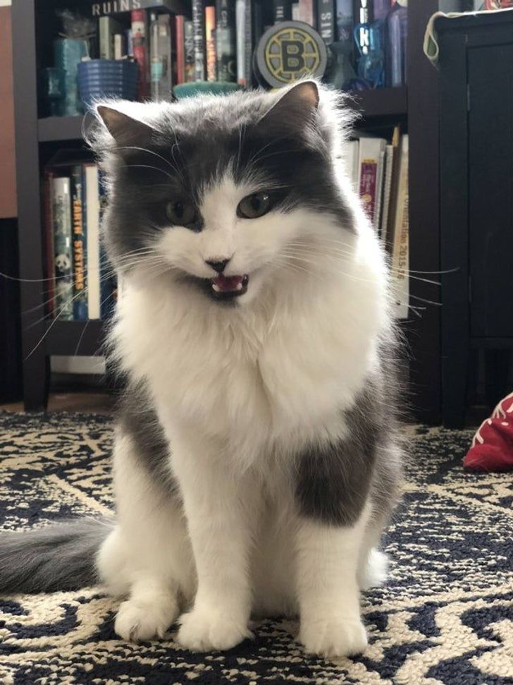 ae56255744a6529892c632b937