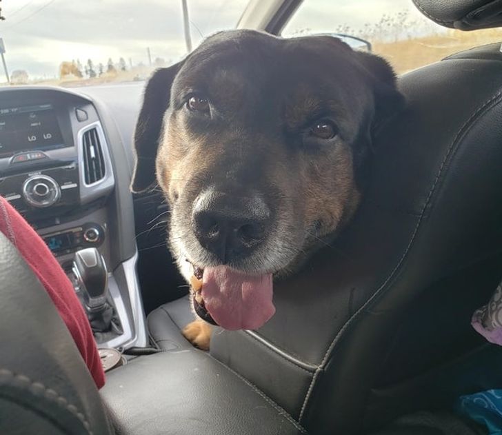 ae56805c5b818a75b93c935b19