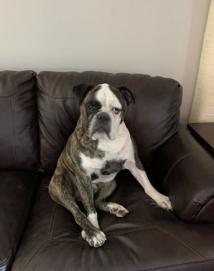 ae5d8e5eab982217e0d15a14bc