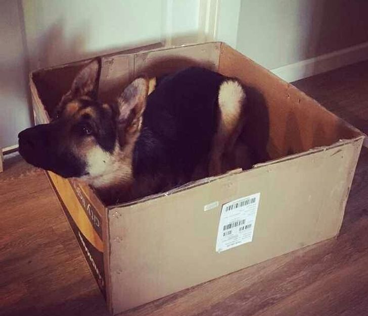 ae637e58d485a46f46bdaadb9e