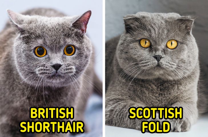 ae67a9542ca13f30fdbcf00389