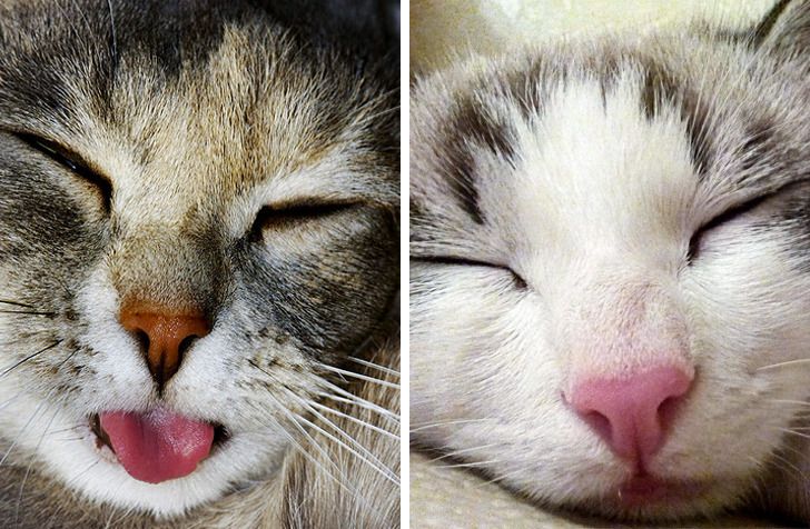 ae6fd253789f0080880b5adc95